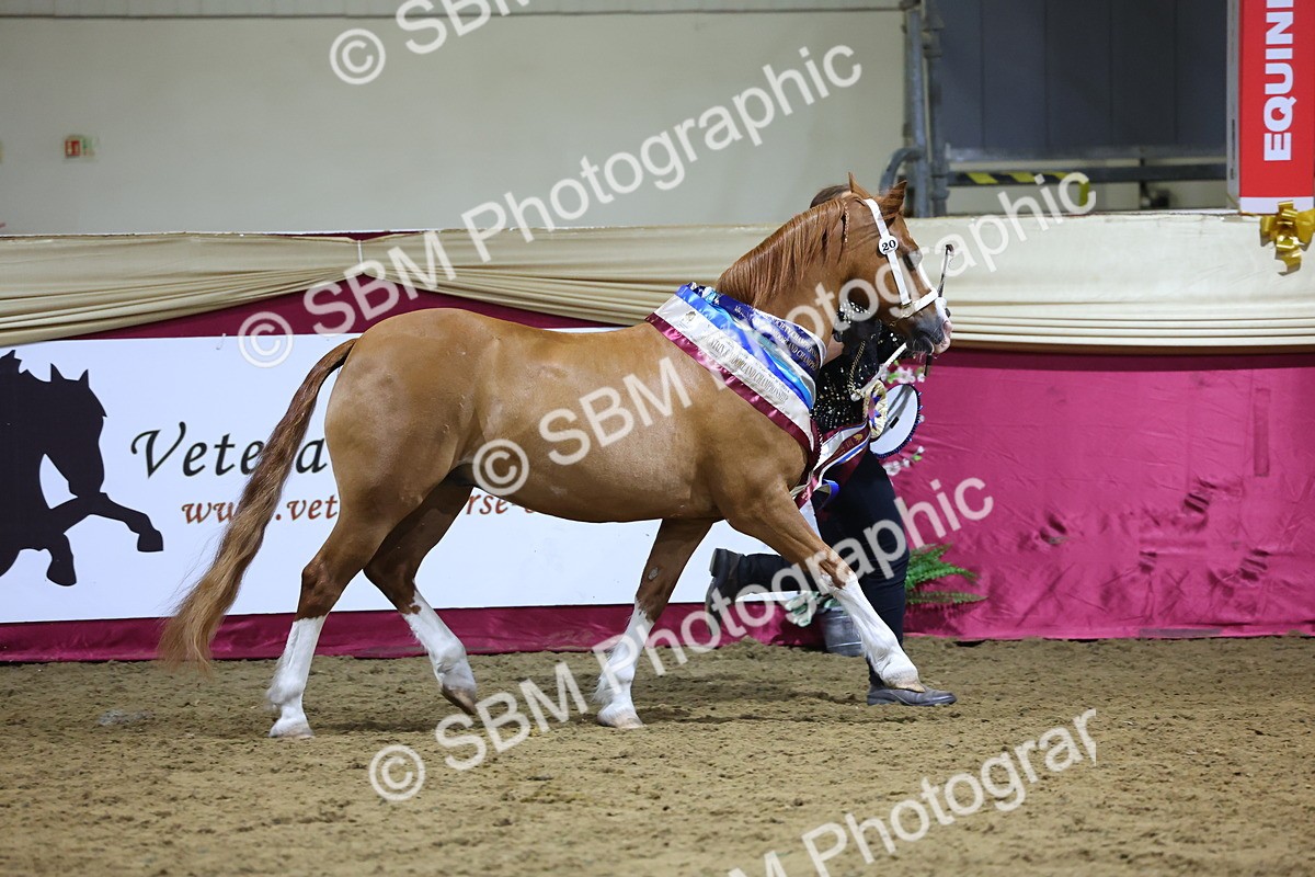 0B8A4434 - Class N M&M Champ