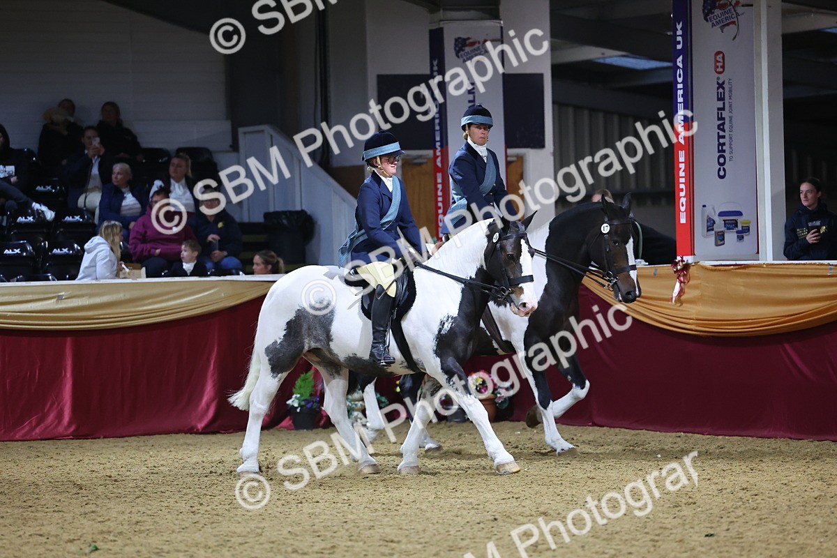 0B8A4334 - Class M Ridden Pairs Champ