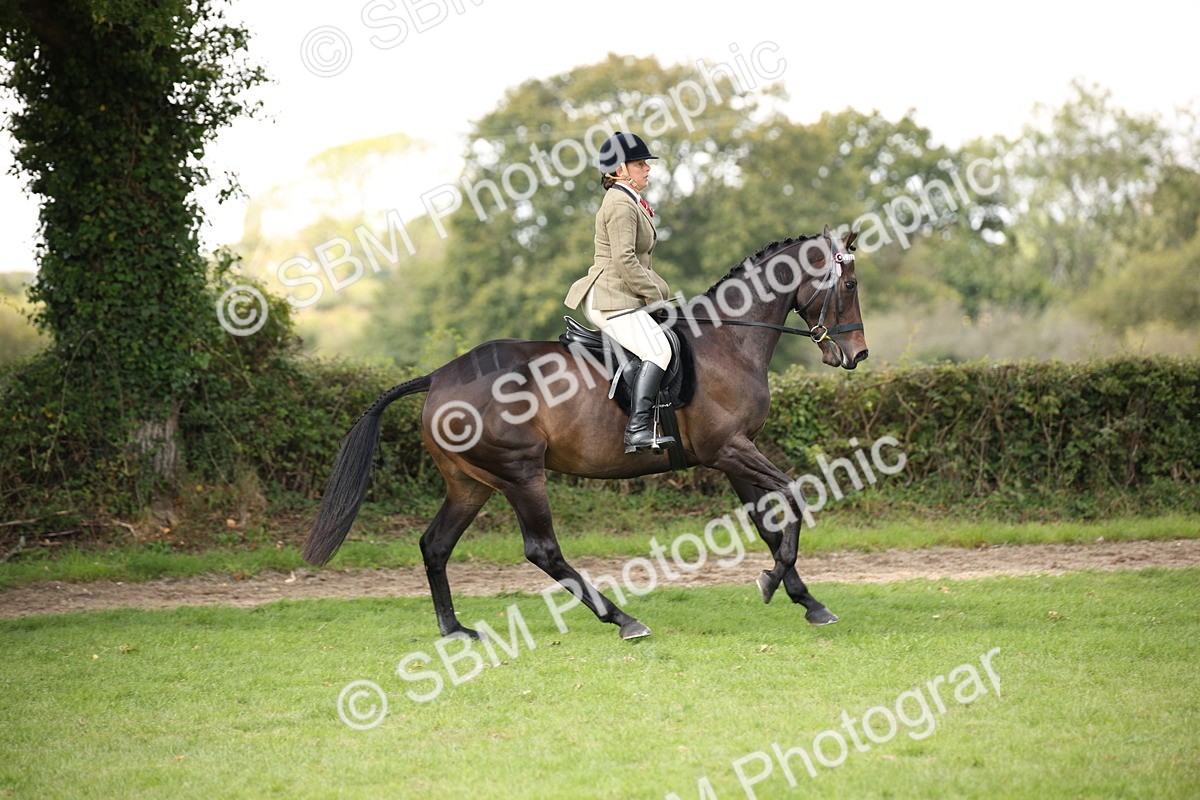 SBM_65931 - S64 - Riding Horse & Hack & Thoroughbred Ridden