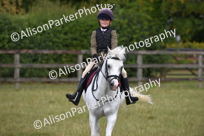 20250831-1877 - Class 9 - Absolute Novice 45cm