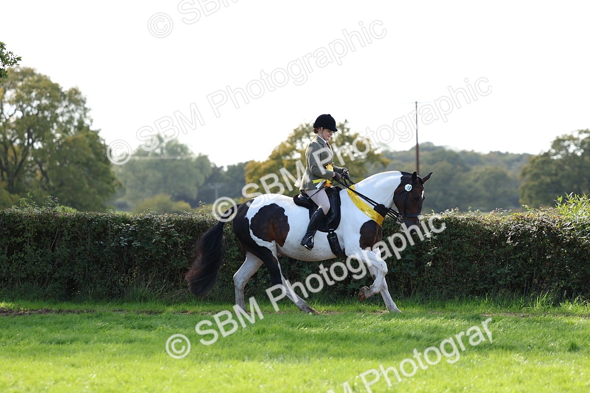 SBM_45340 - S27 - Young Veteran Ridden