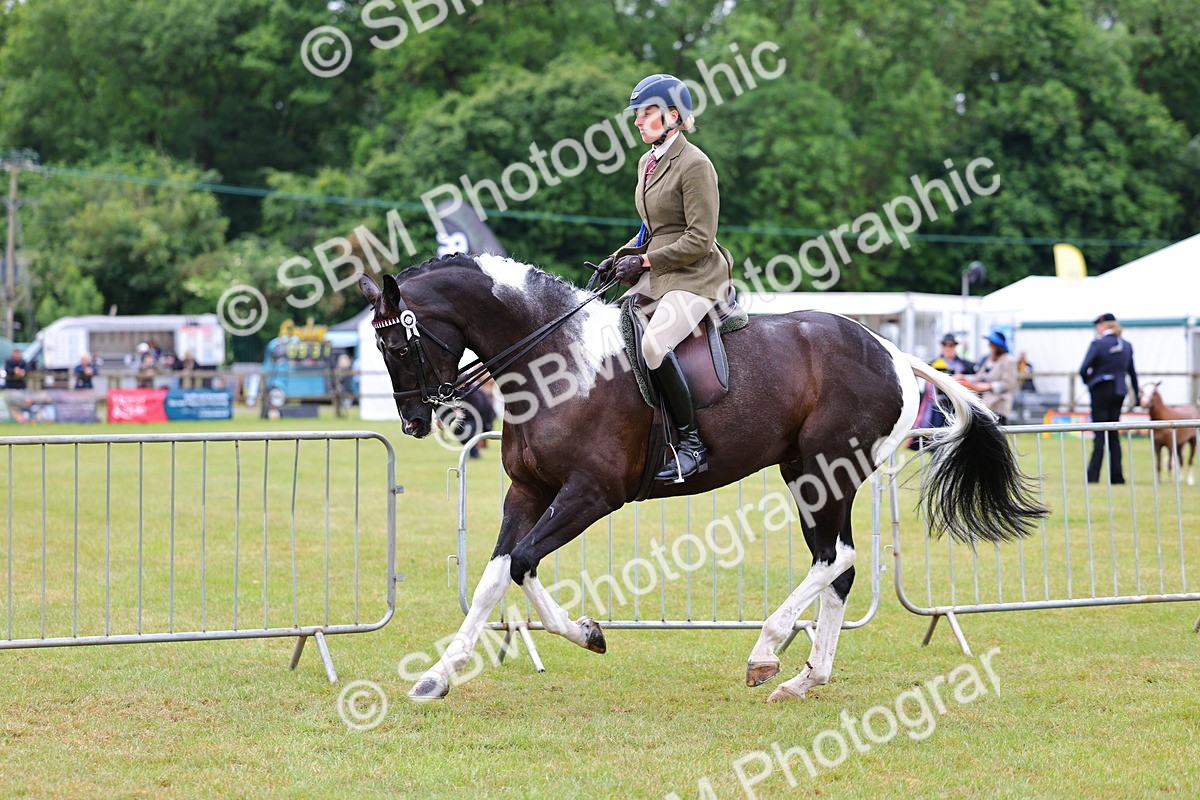 SBM_02644 - Class 9-11 Side Saddle including LIHS Rising Star Ladies Show Horse