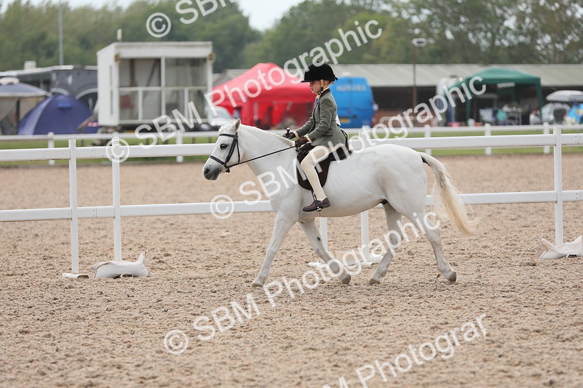 SBM_16917 - Class 314 Family Horse/Pony