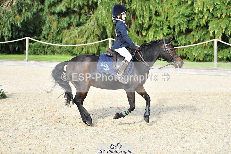 230824-172602-06855 - Round 2 Assisted 17.00 to End