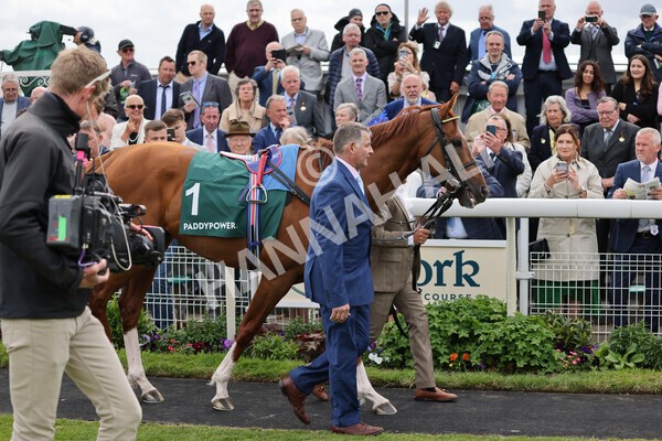 yr13052022r4-10 - Race 4 3.35pm The Paddy Power Yorkshire Cup (British Champions Series Race)