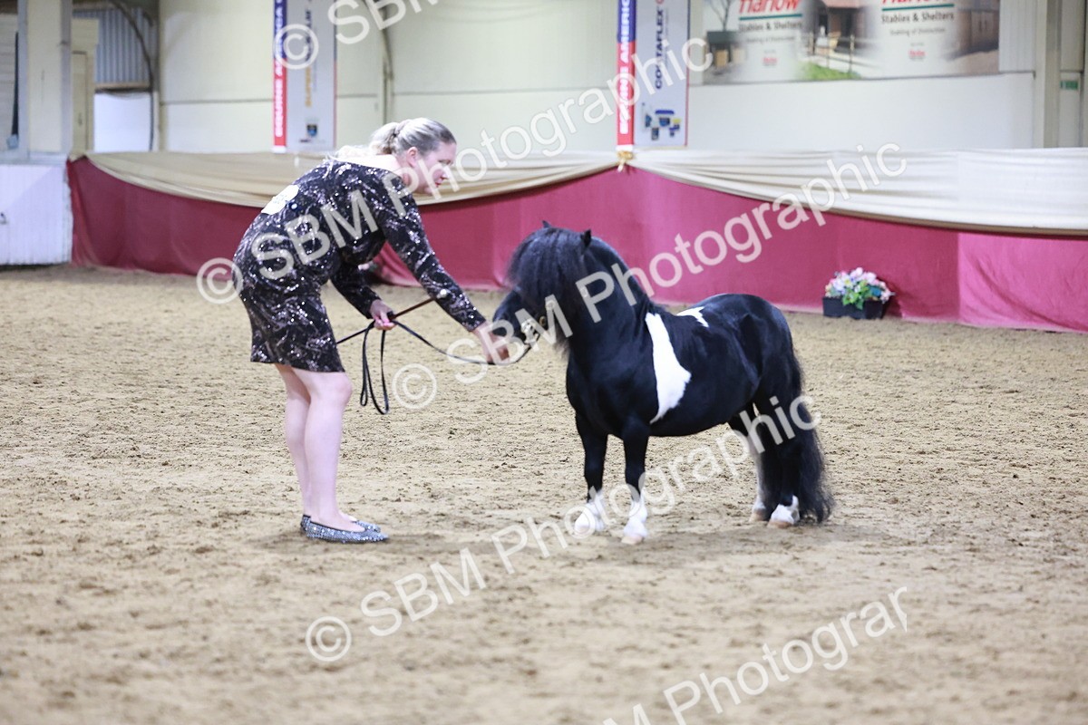 SBM_20833 - Class L - Coloured Champ