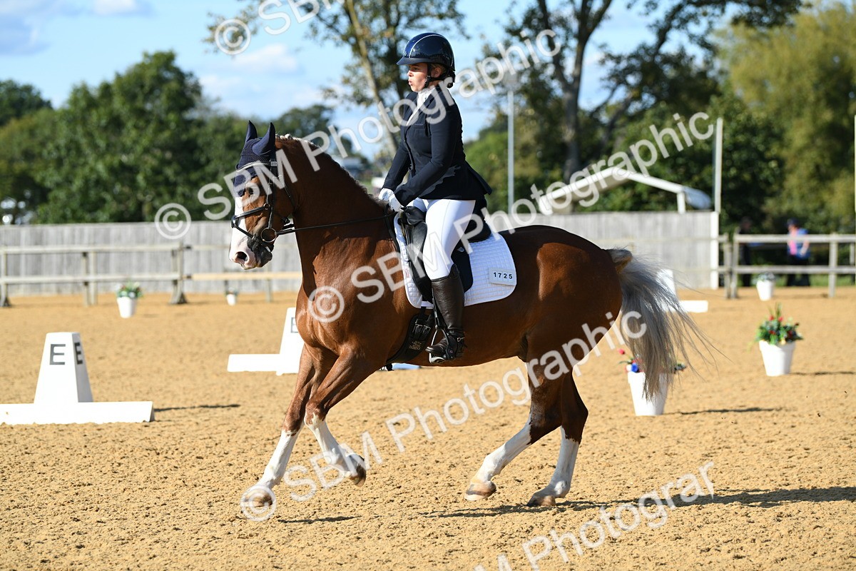SBM_27322 - D16 - Small Tour Championship - Novice 28