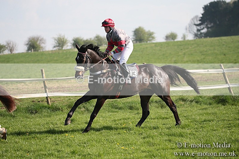PtP 210418 456 - South & West Wilts Point-to-Point Larkhill 21/04/18