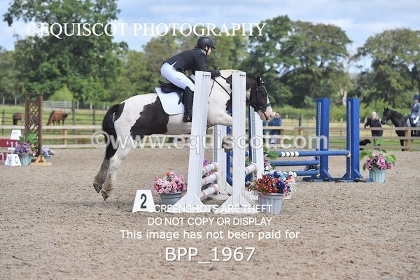 BPP_1967 - DERBY CLASS 5 - 60CM