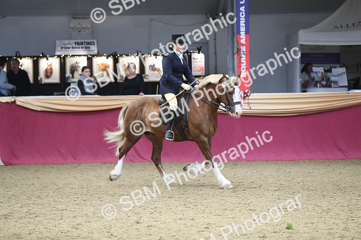 SBM_16450 - Class 502 M&M Ridden Supreme Final