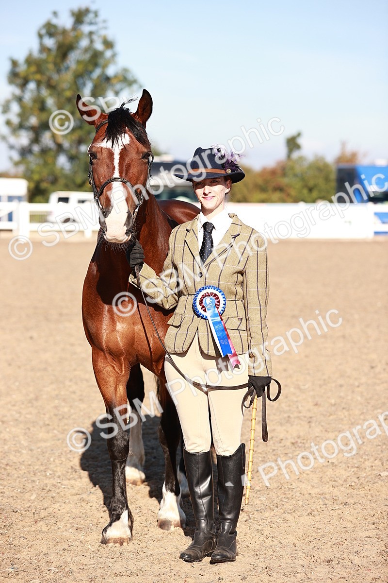 SBM_11461 - Class 402 - IH  Veteran pony