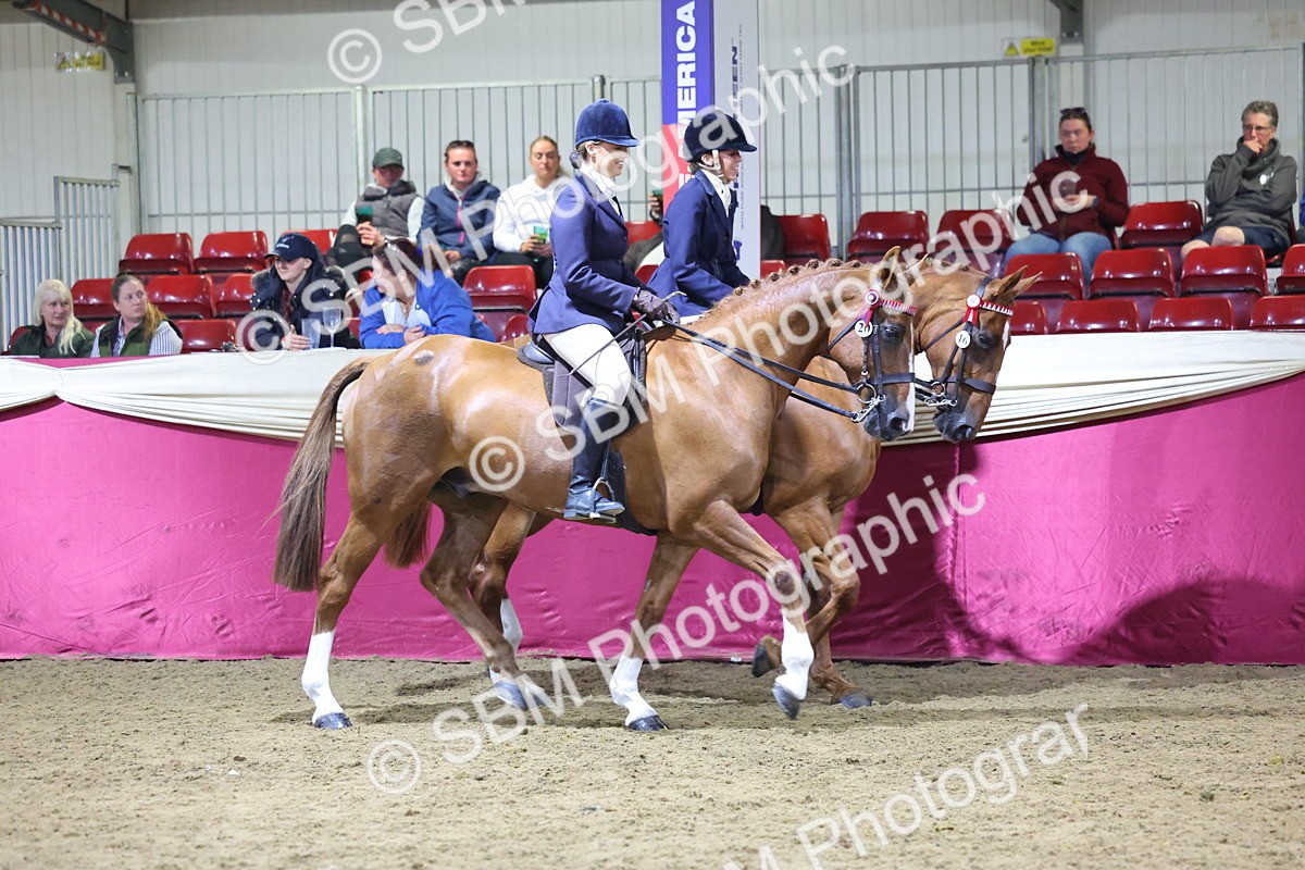 0B8A4311 - Class M Ridden Pairs Champ