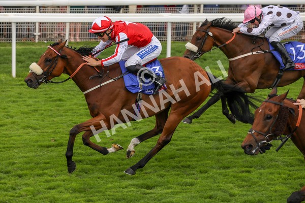 270724-Race 1-Night On Earth-4619 - Race 1 2.05pm Sky Bet 'Jump Jockeys' Nunthorpe' Handicap