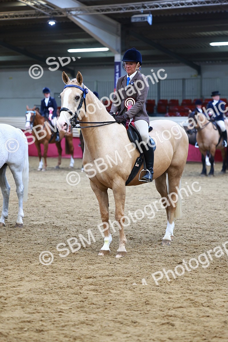 SBM_23196 - Class 905 - Supreme Final - Ridden Veteran