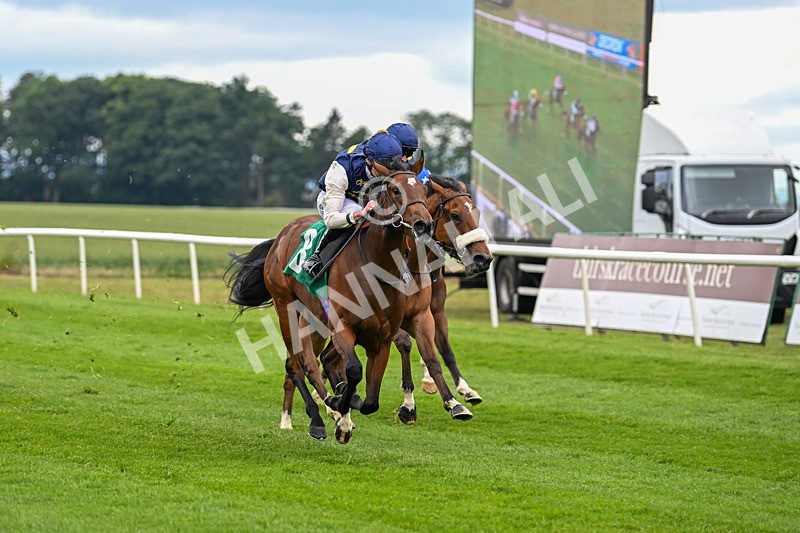 170625-Race 1-Royal Fixation-4340 - Race 1