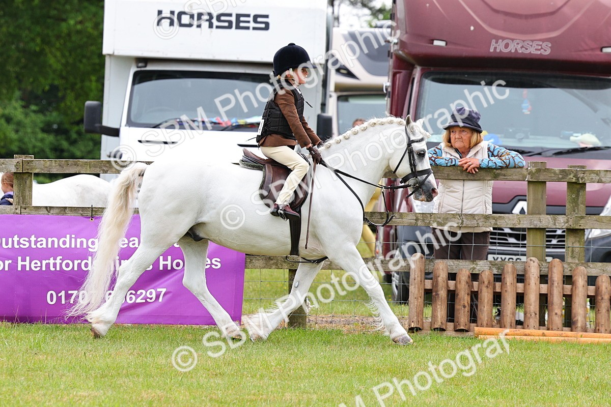 SBM_09527 - Class 44-45 - LIHS BSPS Open Nursery and Cradle Stakes