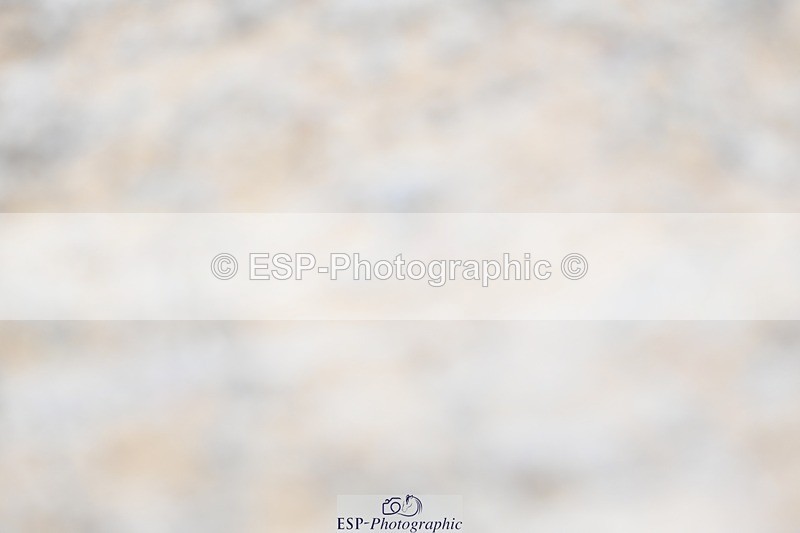 230813-094417-05947 - Cls 12 Elem Silver Start to 10.10 break