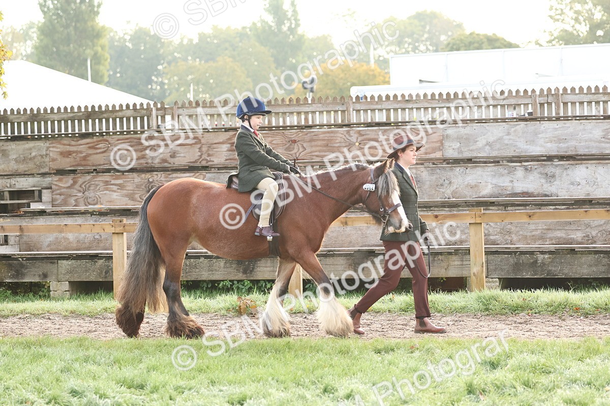 SBM_54485 - S38 - Starters Best Turnout