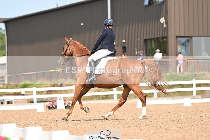 250816-134133-04890 - 080-Elizabeth.StoneZiggy