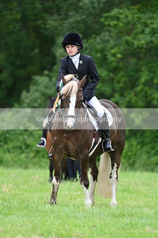 WJ7_4248 - Class 14A Handsome Gelding