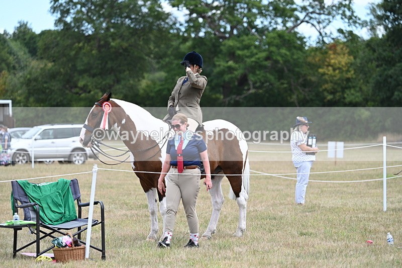 WJ7_5705 - Class 12 Ridden Cob
