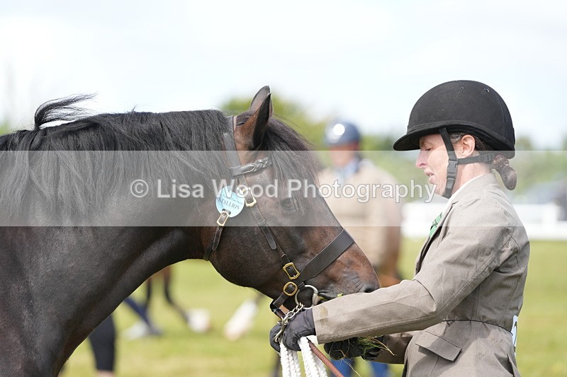 DSC05790 - Class 51: NPS M&M 4 years and over Large Breeds