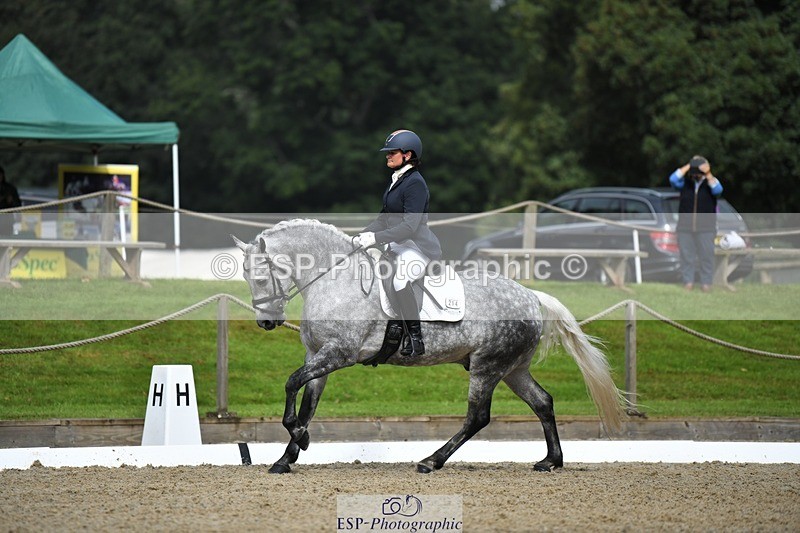 230812-103923-03427 - Cls 6 Novice Silver 10.30 to 11.55 break