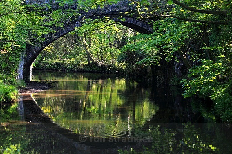 Glenfaba bridge reflection - Land of Man