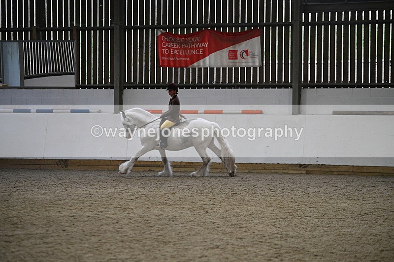 WJ7_3670 - Class 16 Ridden Coloured/ Odd Coloured