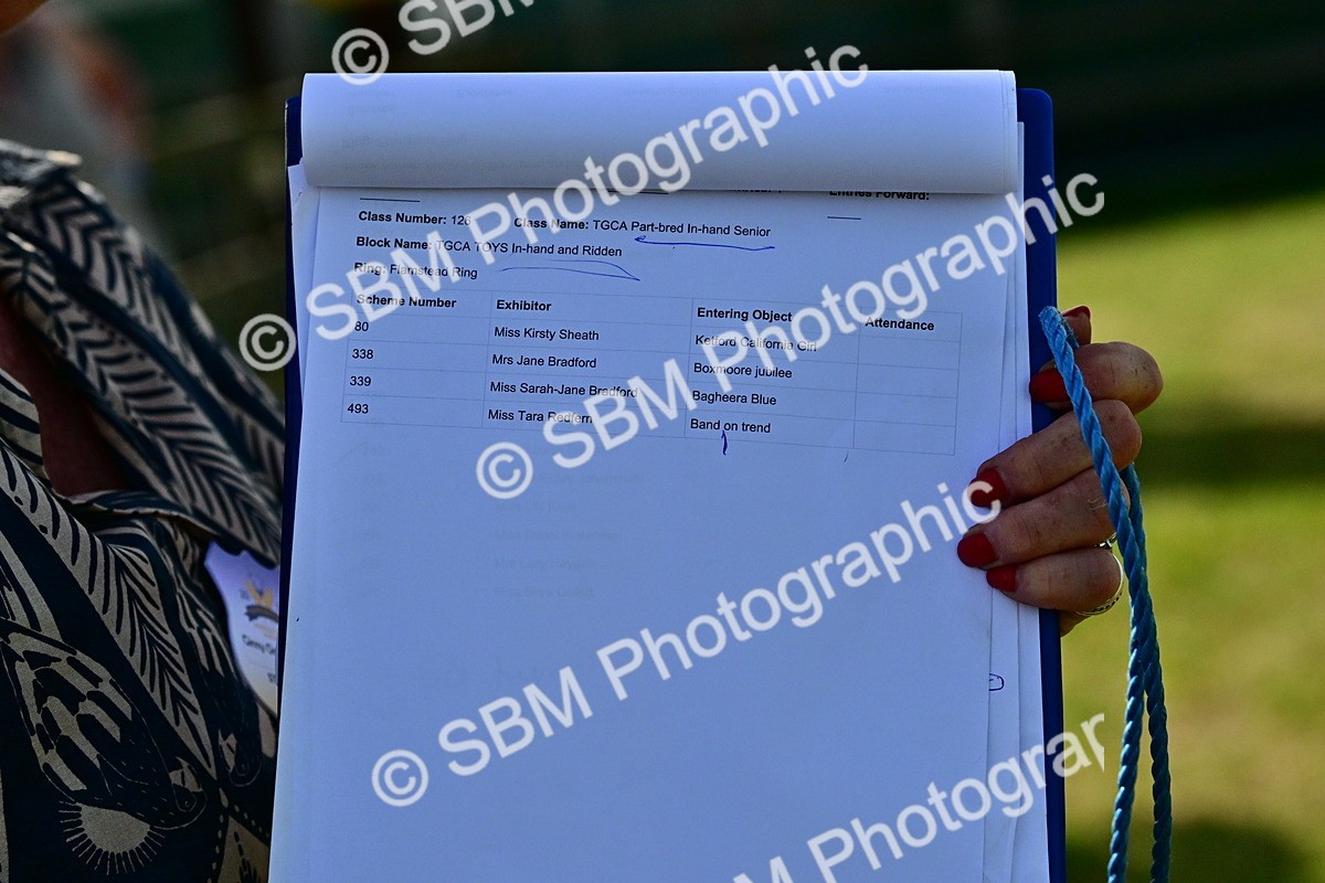 SBM_10072 - Class 63-65 - Traditional Gypsy Cobs In Hand & Ridden