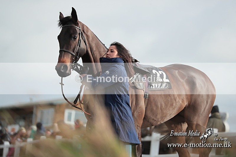 PtP 311223 385 - Larkhill Racing Club Point-to-Point 31/12/23