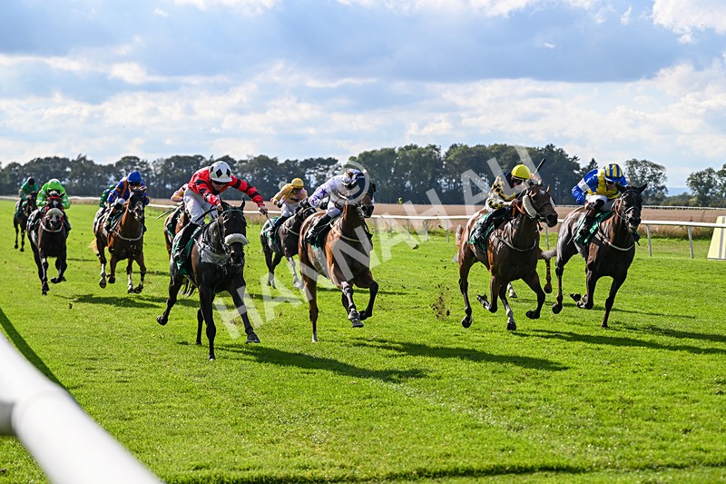 140926-Race 4-Lamlash Bay-7233 - Race 4 3.51pm Sapphire Selling Handicap