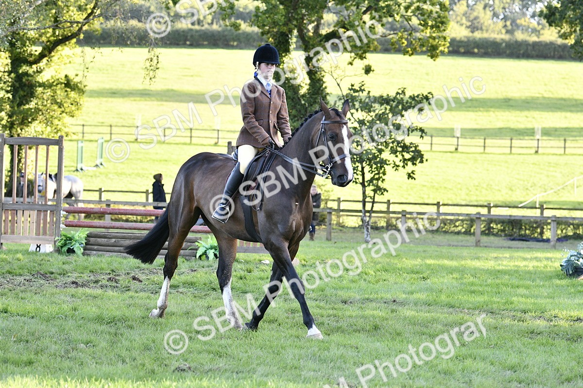 SBM_53562 - S14 - Riding Club Horse