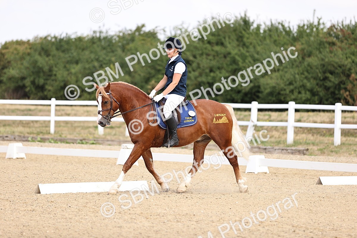 SBM_006577 - Intro 3 - 9.46-10.46