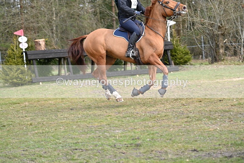 WJ7_2116 - Time 13:42 to 14:01