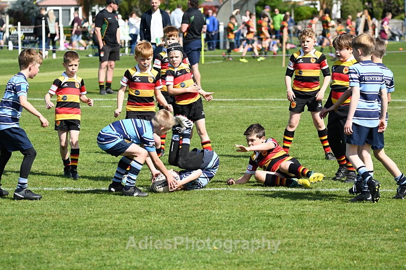  - Selby Rugby Festival 2025