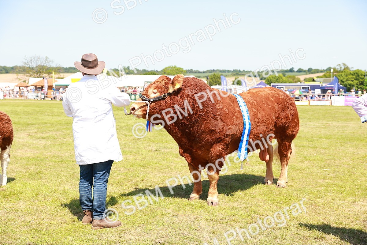 SBM_16504 - Grand Parade