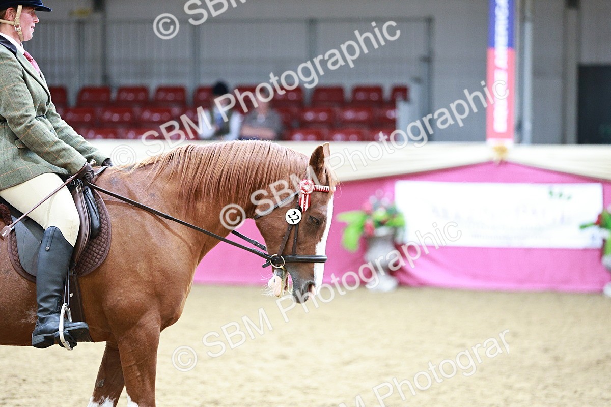 SBM_03035 - Class 5A - Area Ridden Veteran