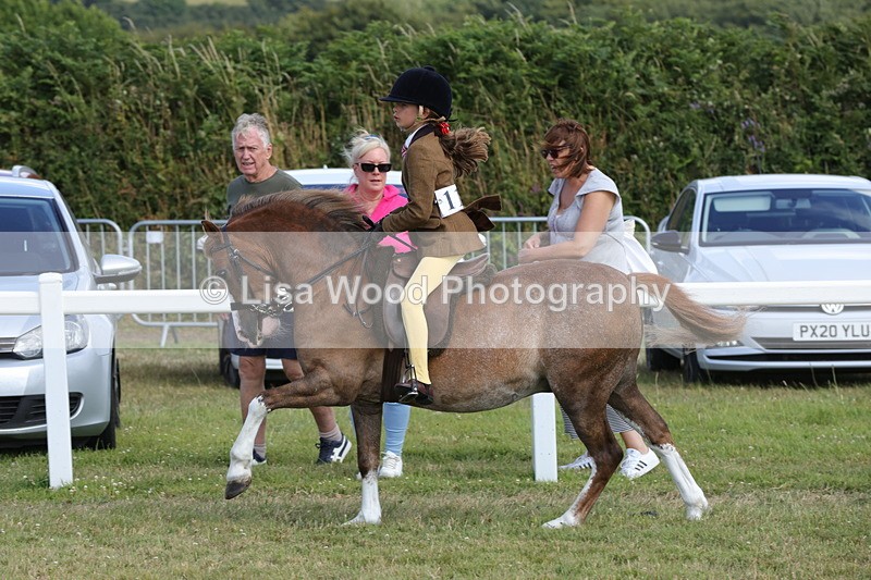 1X9A5711 - Class 40: NPS Welsh A & B