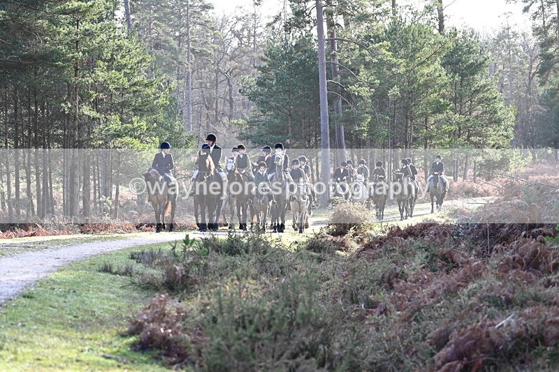 WJ7_7730 - Line 3 (no line 4 or 5)