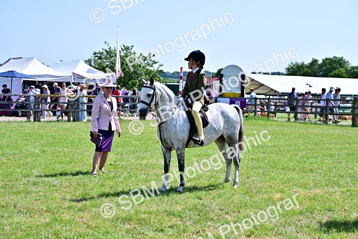 SBM_13925 - Class 95-97 - BSPS LHS Performance Ponies