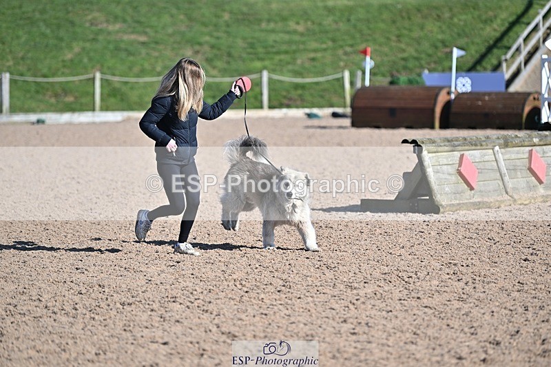 250301-132019-01524 - 90cm