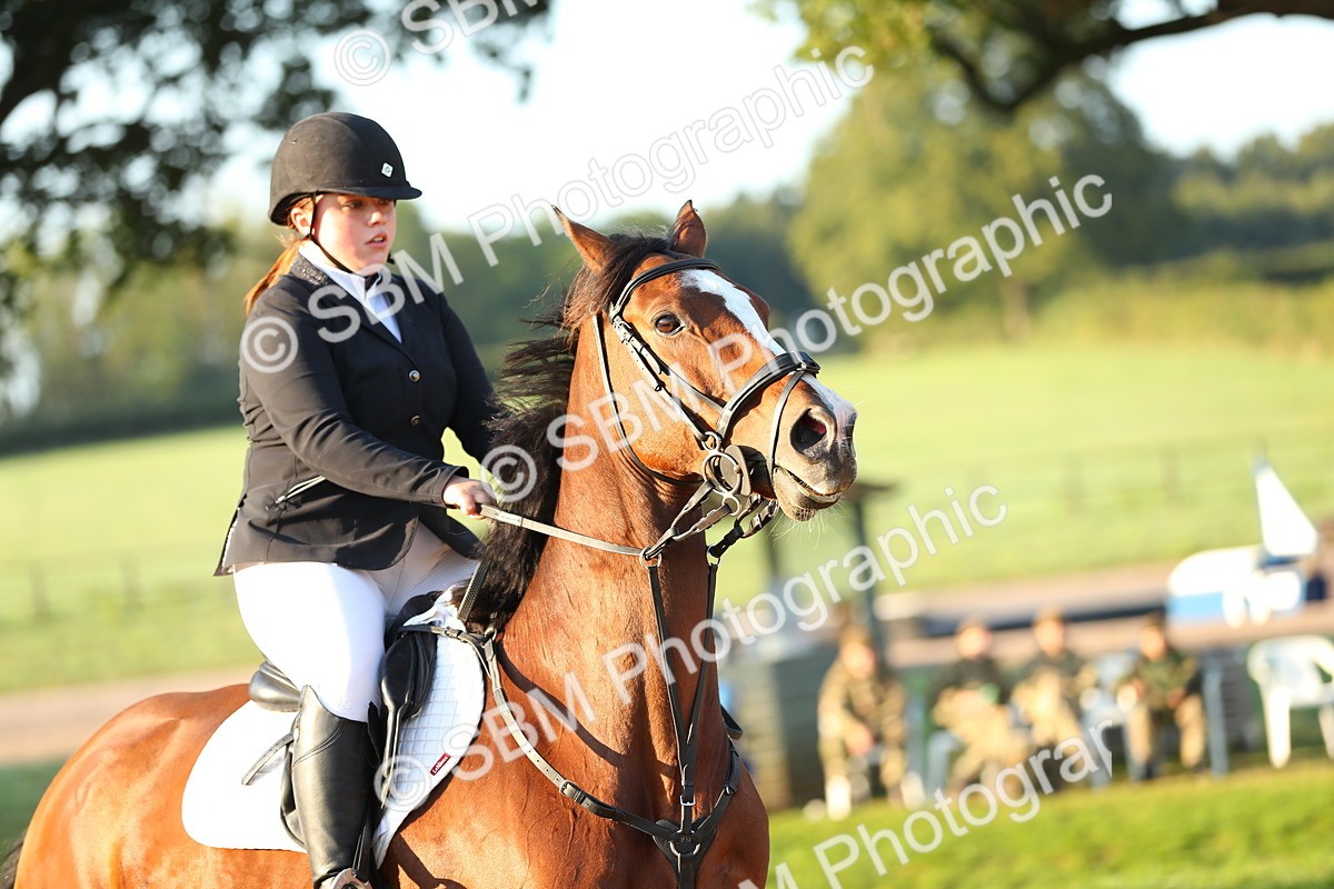 SBM_57630 - J64 - Clear Round 90cm