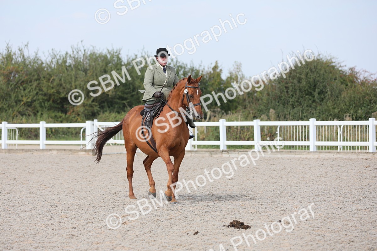 SBM_14551 - Class 211 Best Side Saddle Horse/Pony