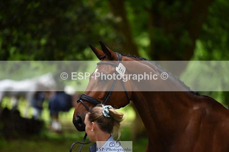 240522-162012-00843 - 240-KINDA_CORVETTE-Dani_Evans