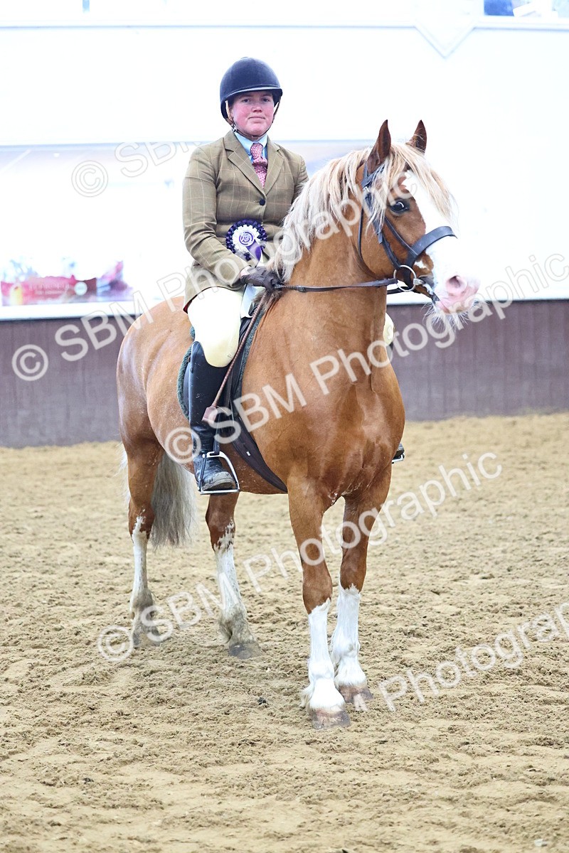 SBM_005124 - Class 41 - Not exceeding 143cms