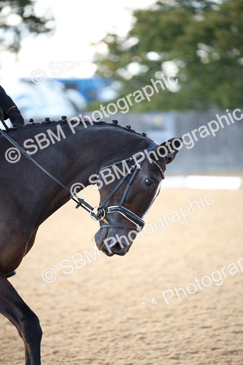 SBM_28385 - D11 - Small Tour Championship - Prelim 13