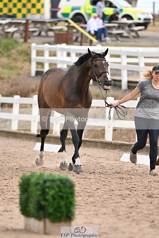 250716-145702-01541 - Trot Up 2.30 to 3.30