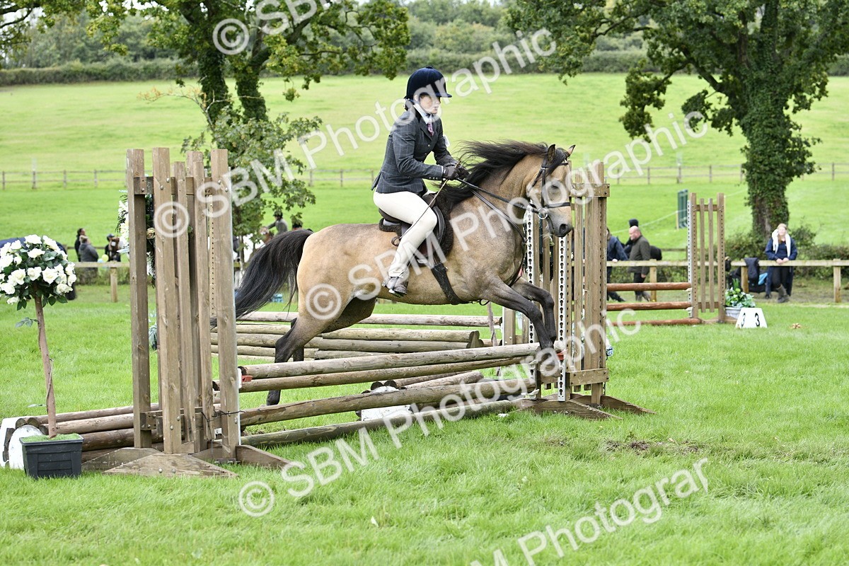 SBM_41353 - S32 - Mountain & Moorland Working Hunter Pony