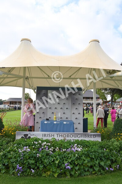 yr23072021r2-51 - Race 2 6.30pm IRE-Incentive It Pays To Buy Irish Stakes